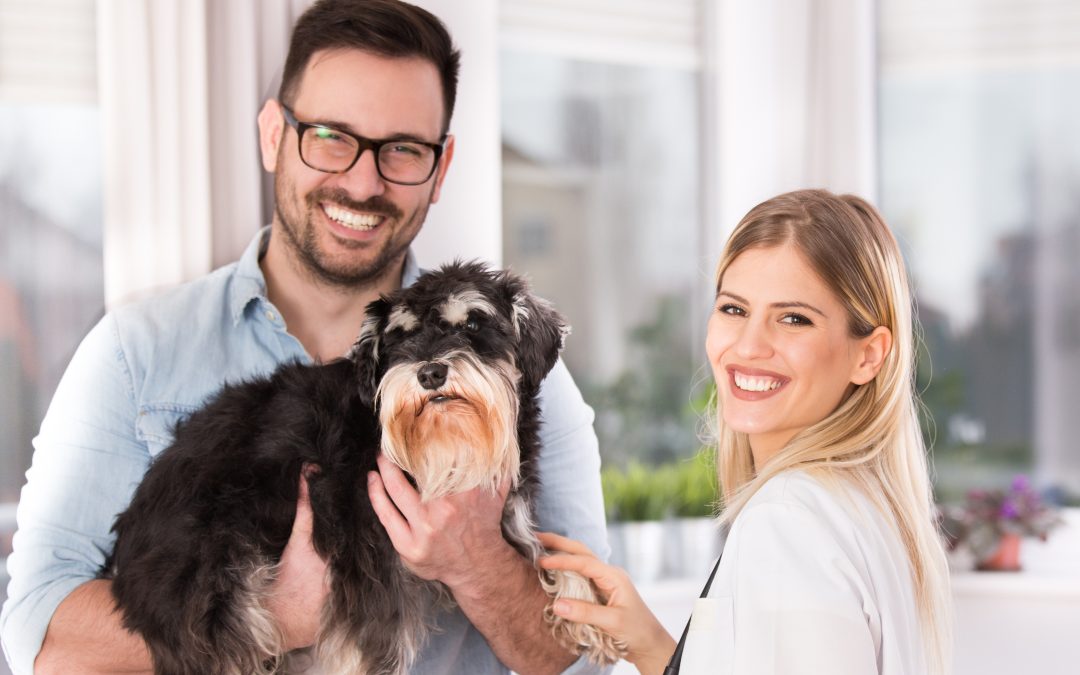 The Benefits of Choosing Dog Grooming Near Me for StressFree Pet Care at Home