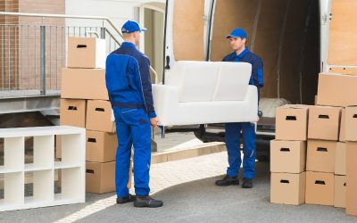 Save Time on Your Next Move with Reliable Furniture Removal Services Hobart TAS