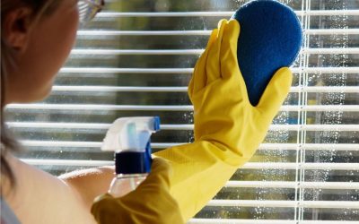 Transform Your Home with a Trusted Window Cleaning Company, Baldivis, WA Residents Recommend