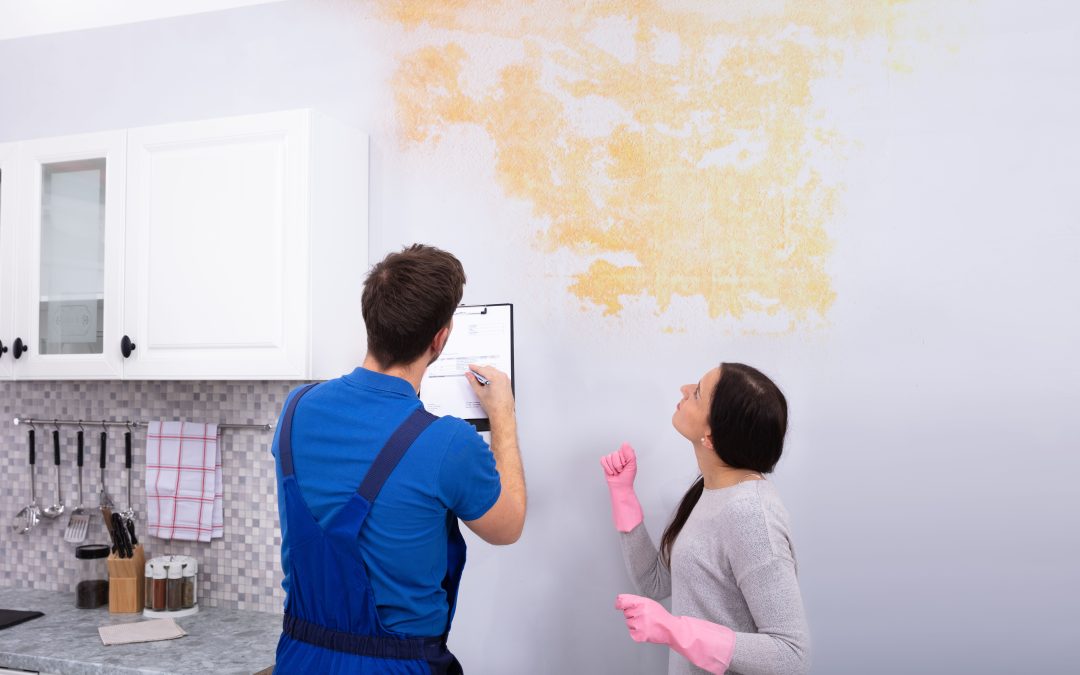 How Mould Remediation Palmerston Can Help Safeguard Your Family’s Health