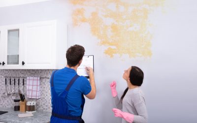 How Mould Remediation Palmerston Can Help Safeguard Your Family’s Health